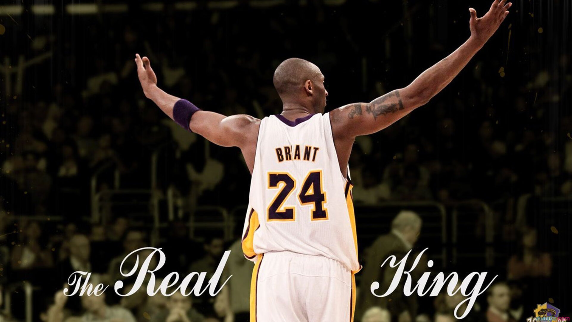 九游会-“台球激情对决：天府校区赛场激发选手无尽潜力”